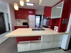 Blk 1G The Pinnacle@Duxton (Bukit Merah), HDB 4 Rooms #503288871